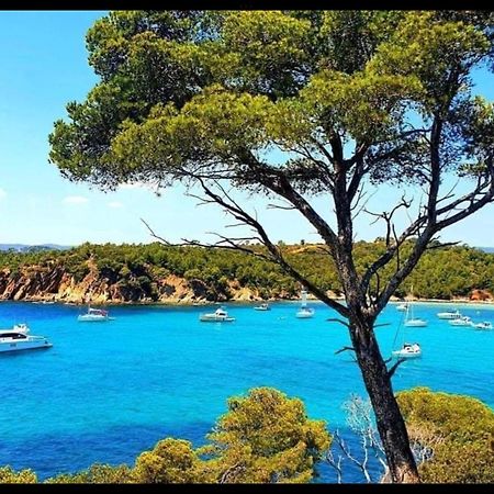Appartement Pieds Dans L'Eau Vue Mer Bormes Les Mimosas Exterior photo