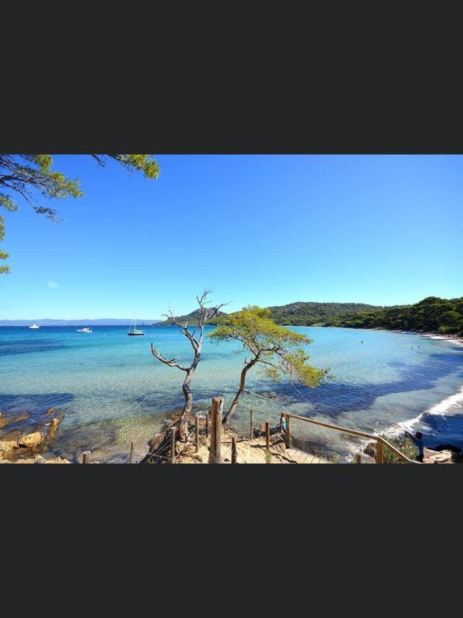 Appartement Pieds Dans L'Eau Vue Mer Bormes Les Mimosas Exterior photo
